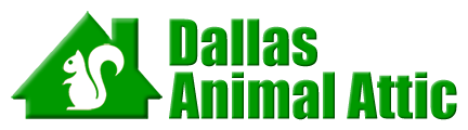 Dallas Animal Attic